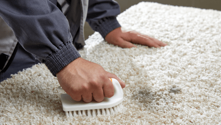 Professional Rug Cleaning Pearcedale