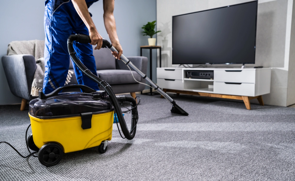 Extract Rug Cleaning Pearcedale Contact Office